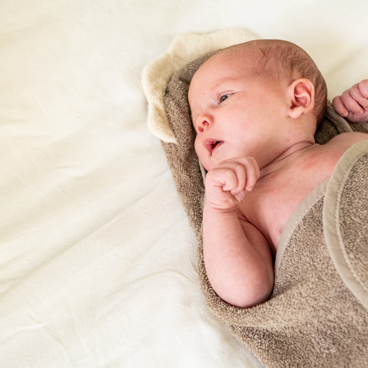 That's Mine Dino Moly Håndkle Svøp