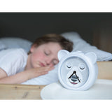 Zazu Grey Bobby The Bjørn Søvntrener