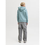 Jack & Jones Junior Grey Denim Jjialex Jjoriginal Akm 011 Jnr