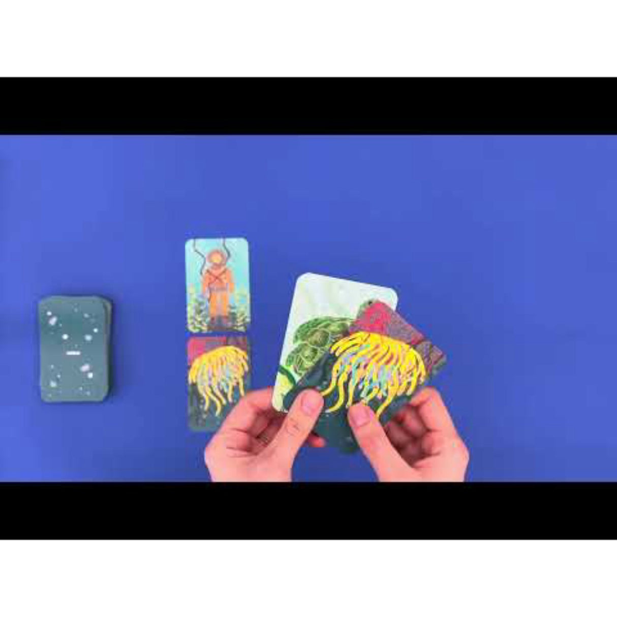 Djeco kortspill, Bazarquatik