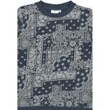 The New Navy Blazer Aop Tnsixten Collegegenser