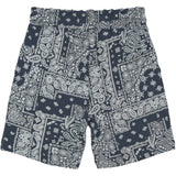 The New Navy Blazer Aop Tnsixten Shorts