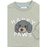 THE NEW Siblings Aqua Gray Tnsbsacarias Collegegenser