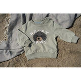 THE NEW Siblings Aqua Gray Tnsbsacarias Collegegenser