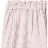 Wheat Purple Light Flowers Bukser Petrine