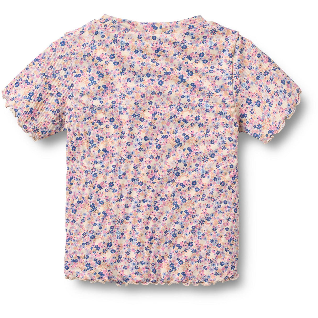Wheat Pink Blue Flowers Rib T-shirt S/S Alicia