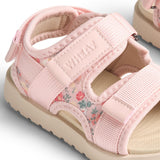 Wheat Powder Flowers And Seashells Sandal Mandy