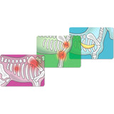 Schleich Glad Hestehospital