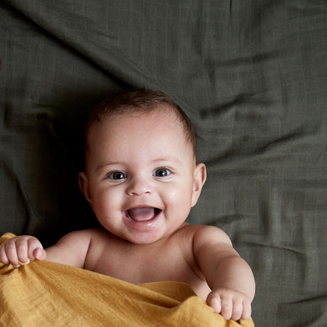 by KlipKlap Ochre Seng Ark