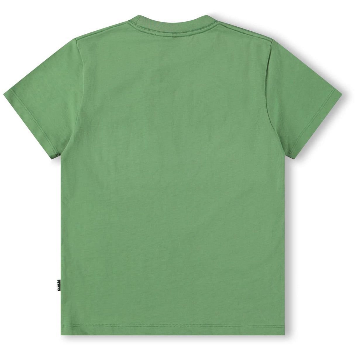 Molo Groovy Green Roxo T-Shirt