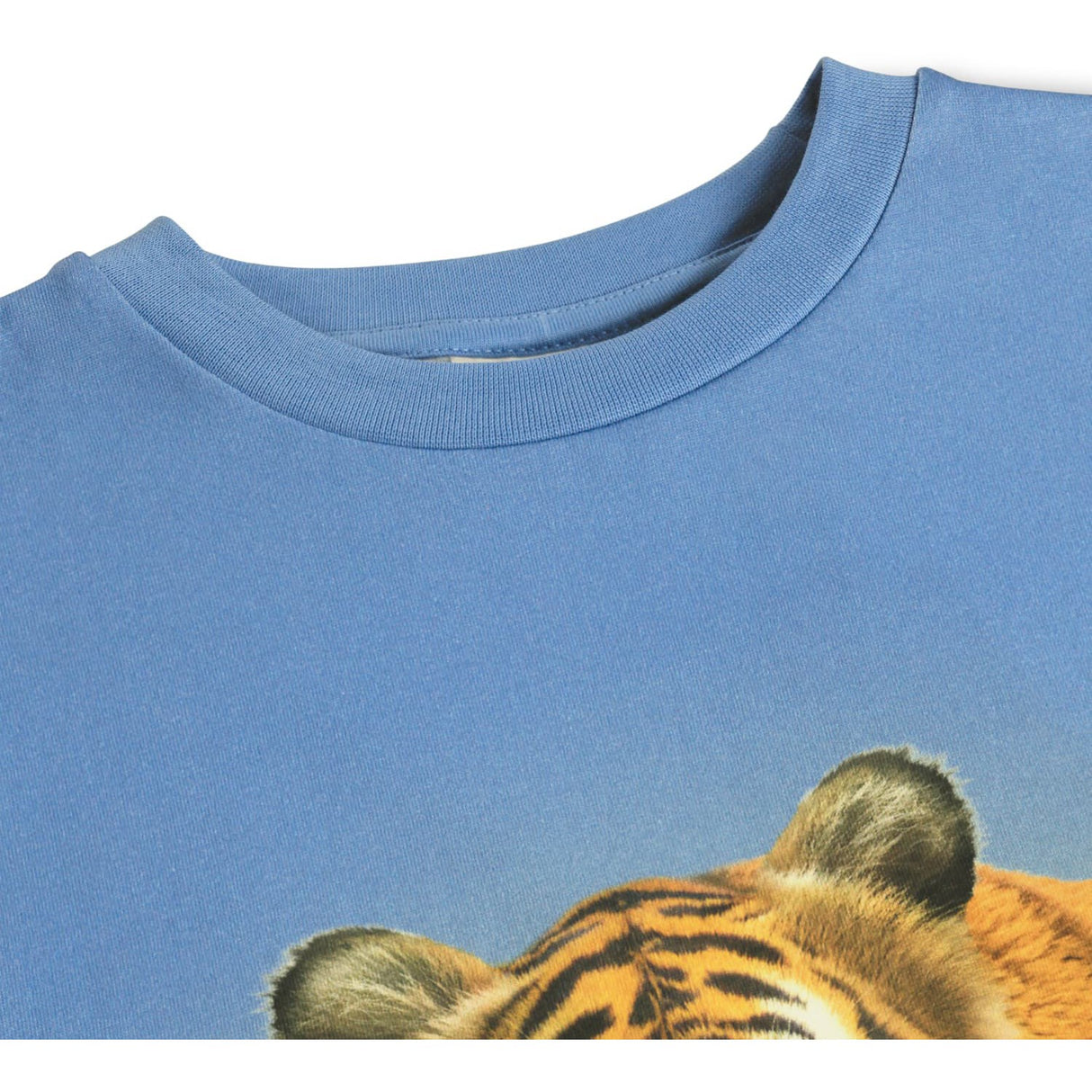 Molo Tiger On Blue Rubin T-Shirt