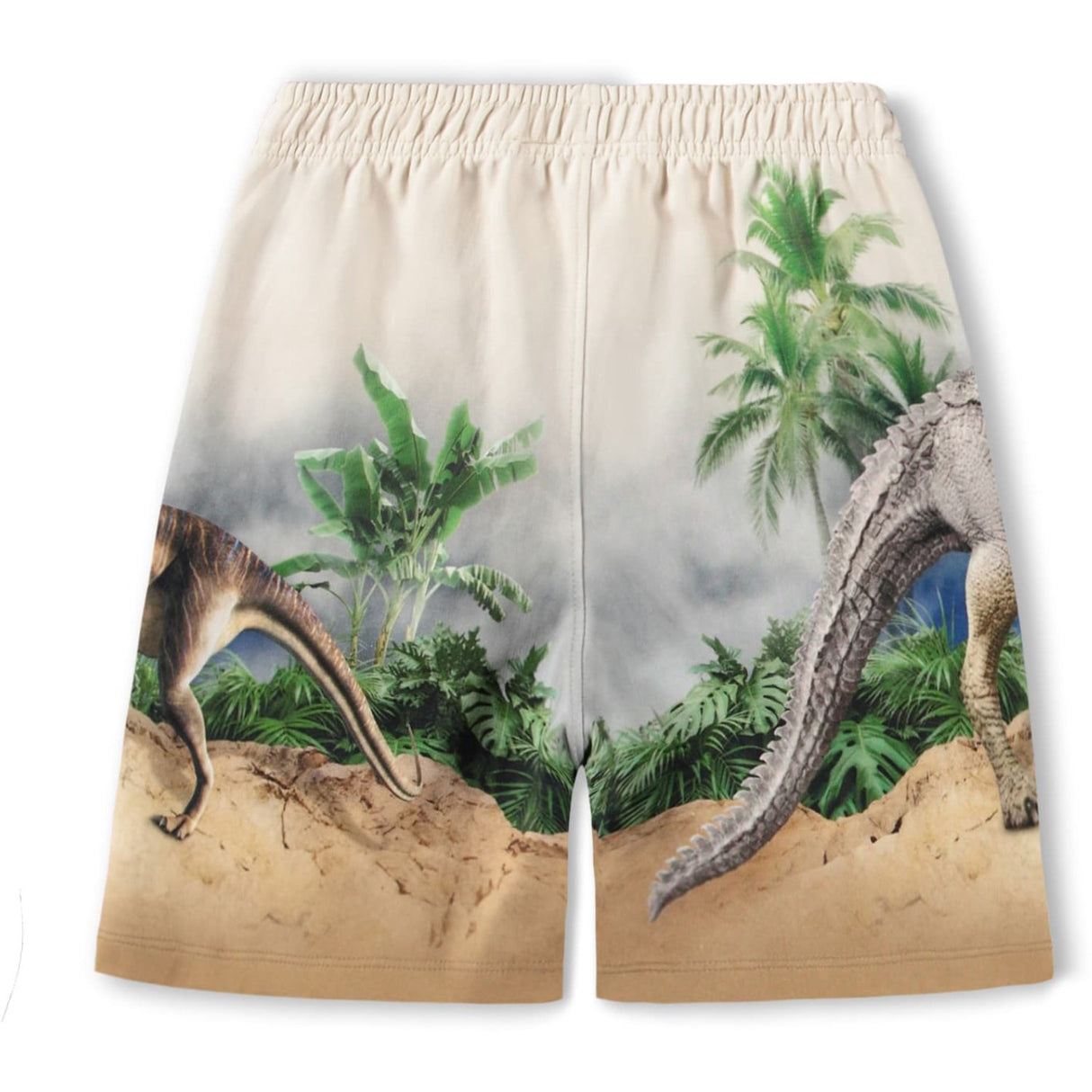 Molo Hot Spring Dinos Amil Sweatpants
