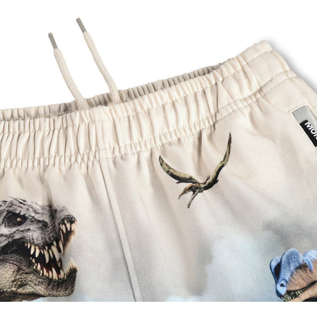 Molo Hot Spring Dinos Amil Sweatpants
