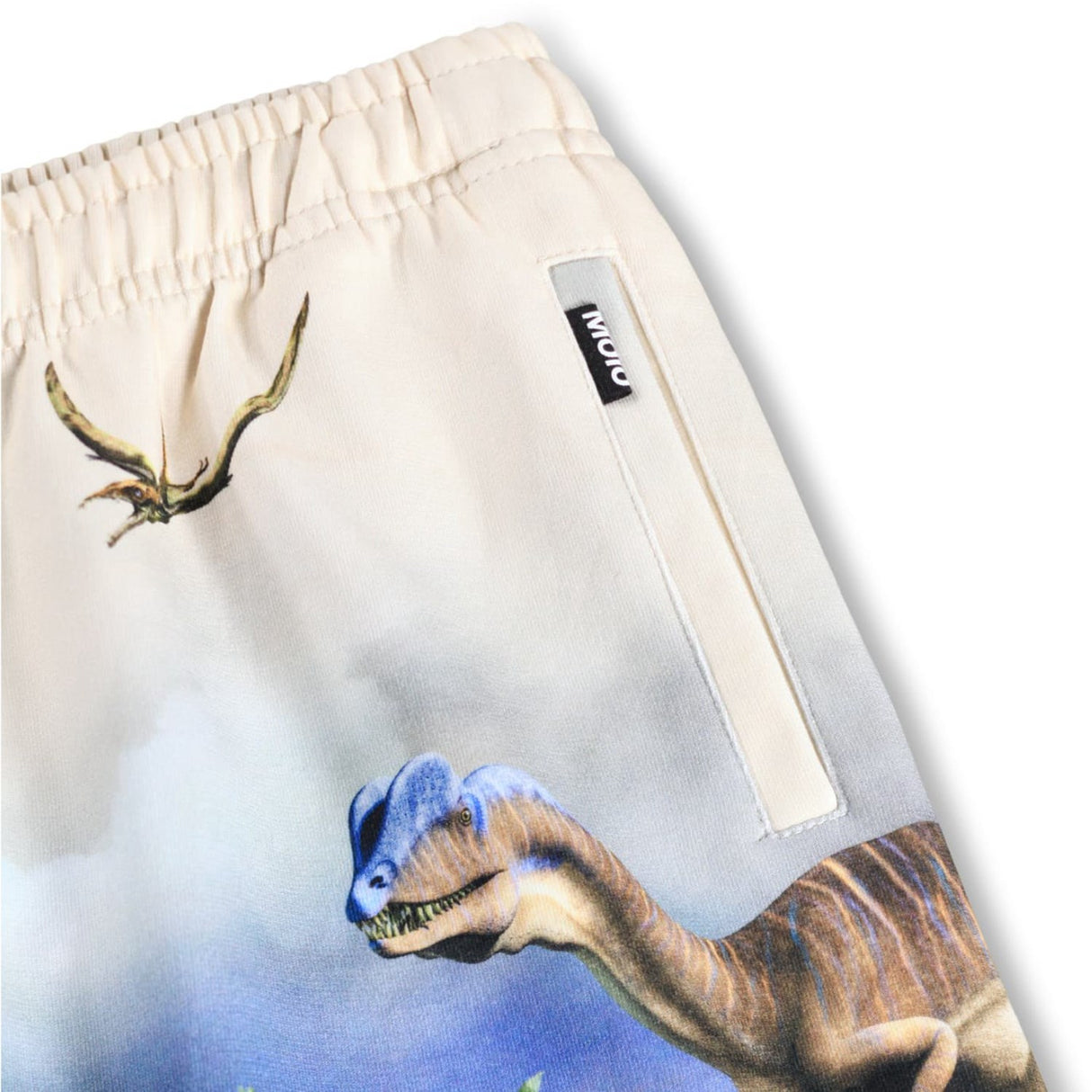 Molo Hot Spring Dinos Amil Sweatpants