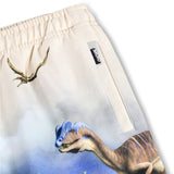 Molo Hot Spring Dinos Amil Sweatpants