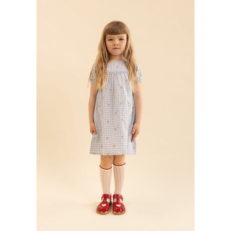 Flöss Sky Berry Gingham Mille SS Kjole