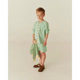 COPENHAGEN COLORS Sharp Green W Cream Stripe Seersucker Shorts Sporty