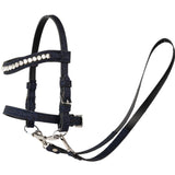 My Hobby Horse Navy Glimmer Trense Til Kæphest