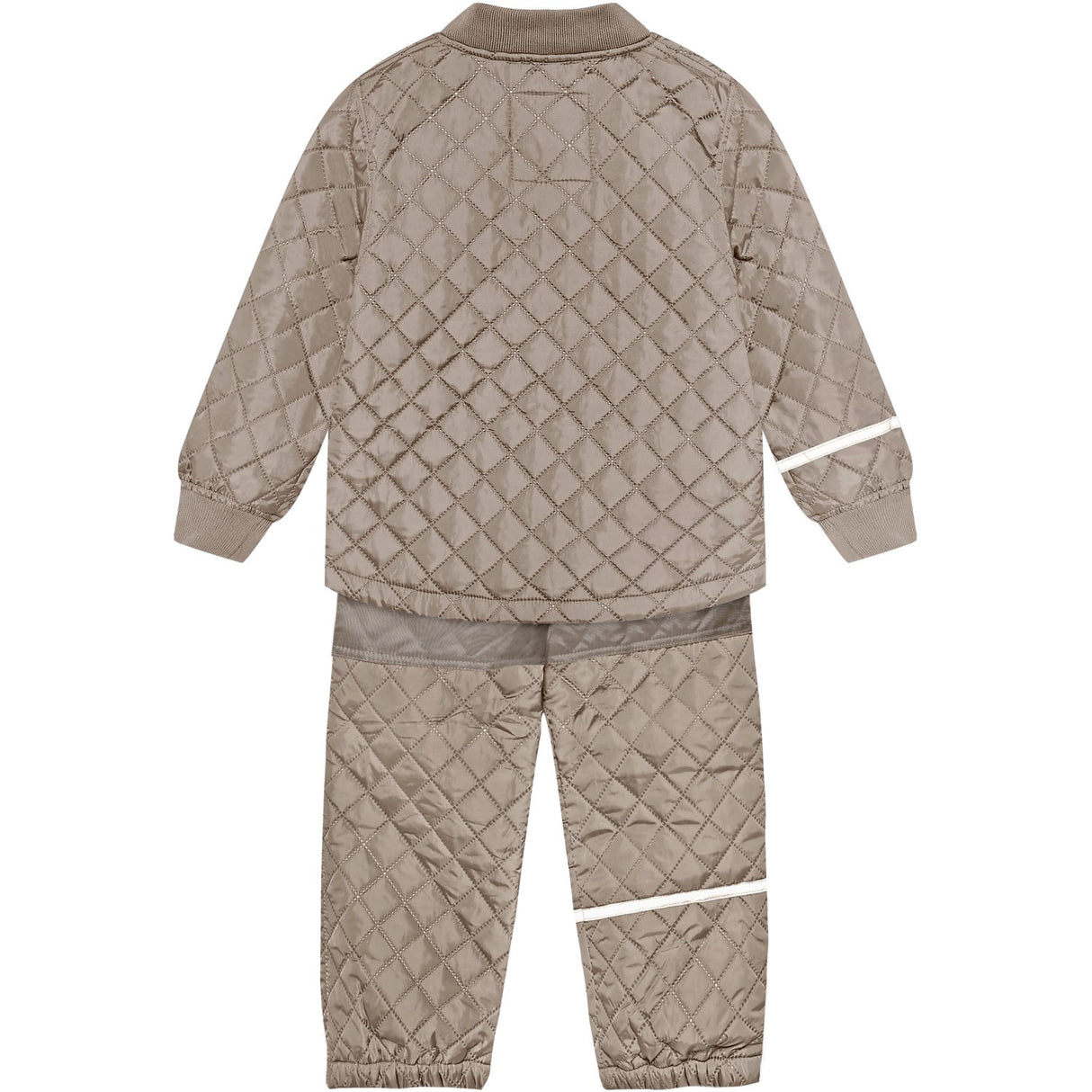 CeLaVi Fungi Basic Termisk Sett -Solid