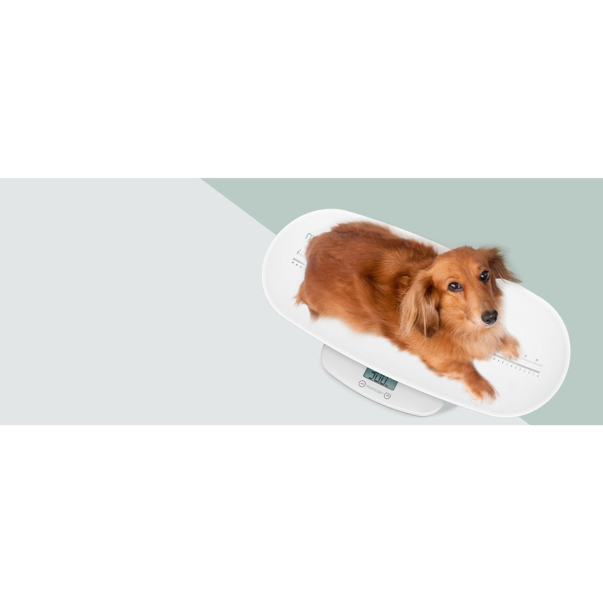Momcozy Multi-Function Baby Scale - Weight & Height Measurement