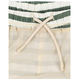 Konges Sløjd Stripe Verti Asnou Swim Shorts Grs