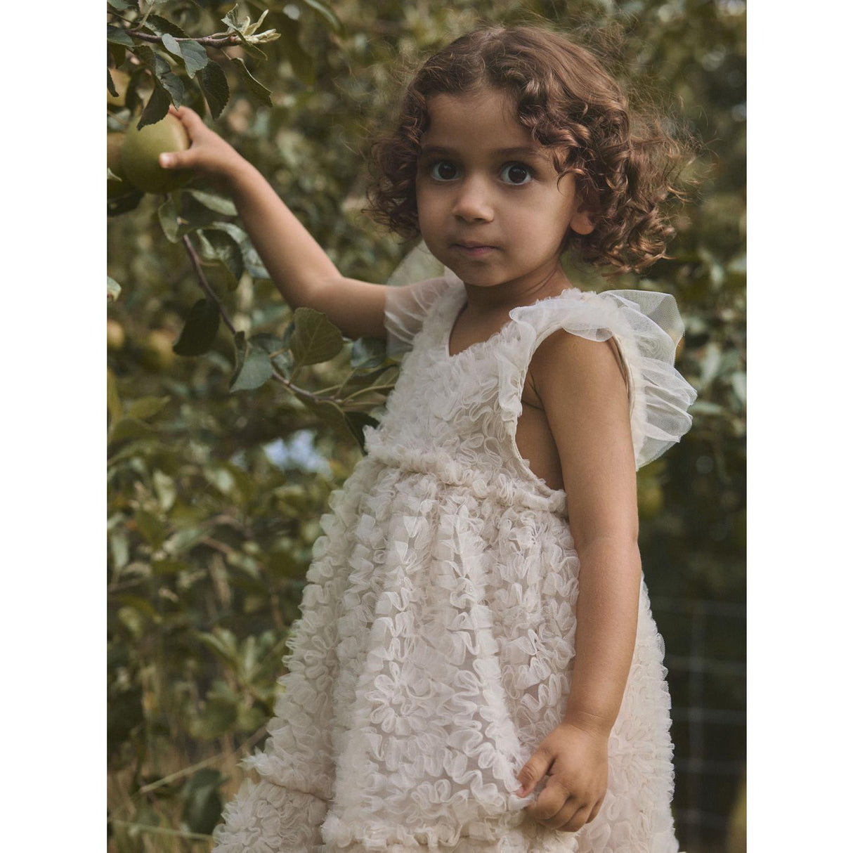 Lil'Atelier Pumice Stone Nmffauna Capsl Tyll Kjole Lil