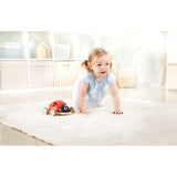 Hape Shape Sorter Ladybug