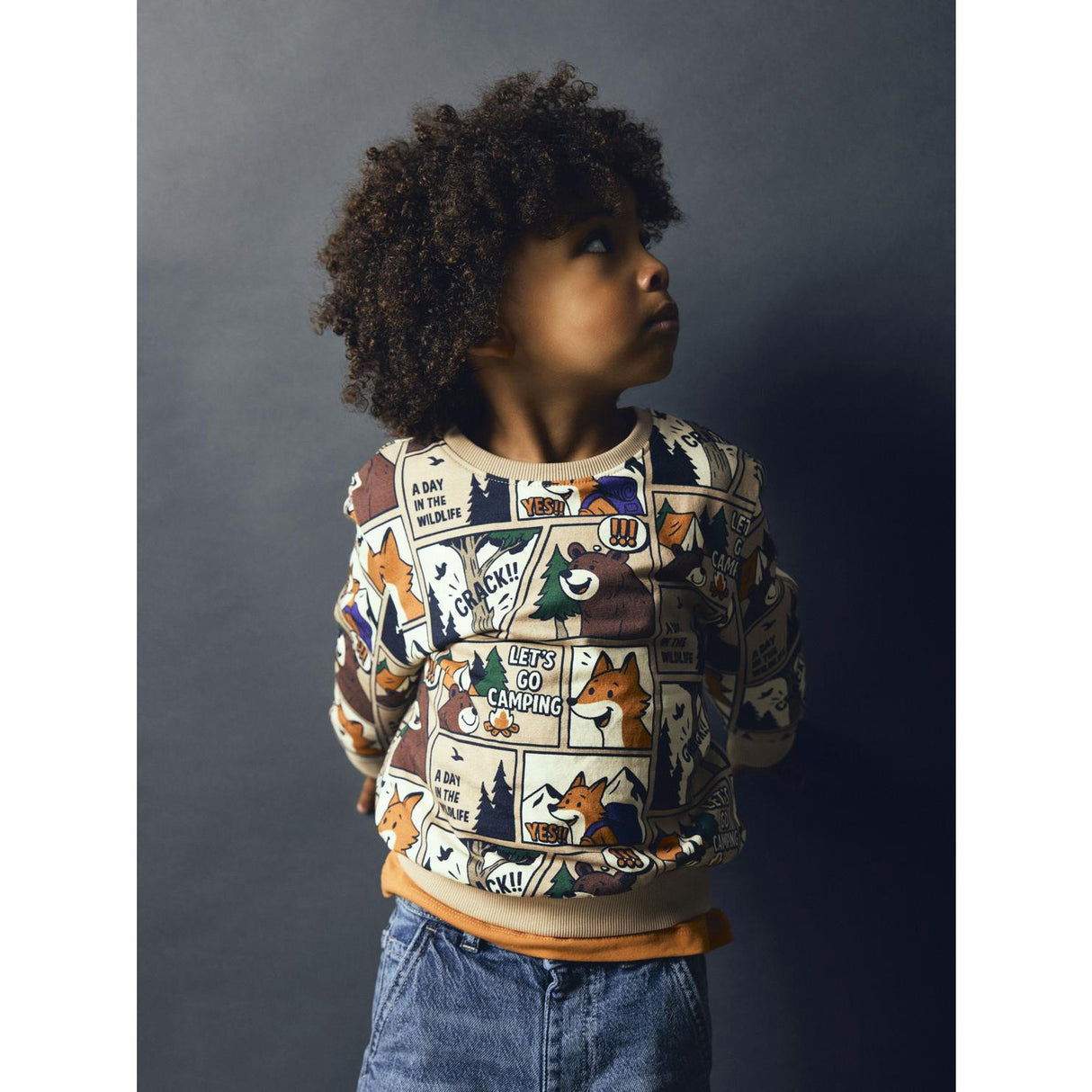 Name It Sesame Nmmoswaldy Ls Nreg Sweat Bru Eske