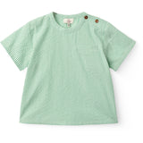 COPENHAGEN COLORS Sharp Green W Cream Stripe Seersucker Ss Bluse