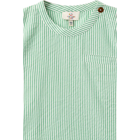 COPENHAGEN COLORS Sharp Green W Cream Stripe Seersucker Ss Bluse