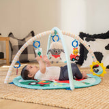 Baby Einstein Happy Harvest™ Touch & Feel Activity Gym
