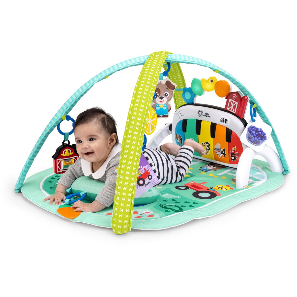 Baby Einstein 4-in-1 Kickin’ Tunes™ Musical Meadow™ Musikk & Language Discovery Gym