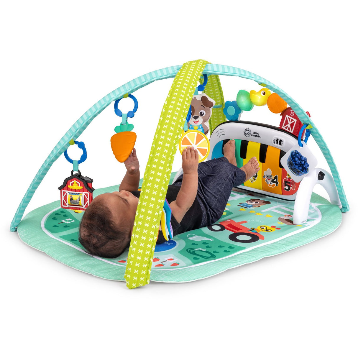 Baby Einstein 4-in-1 Kickin’ Tunes™ Musical Meadow™ Musikk & Language Discovery Gym