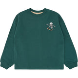 The New June Bug Tnvirl Collegegenser