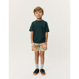 Les Deux Kids Pine Green Core Contrast T-Shirt KIDS