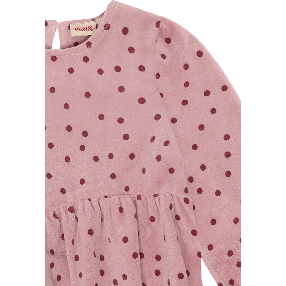 Hust & Claire Heather Donna Dot