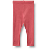 Wheat Raspberry Rib Leggings Maddy