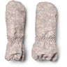 Wheat Dry Rose Flowers Votter Monta