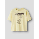 Name It Anise Flower Nkfkatelin Ss Nreg Topp Pb