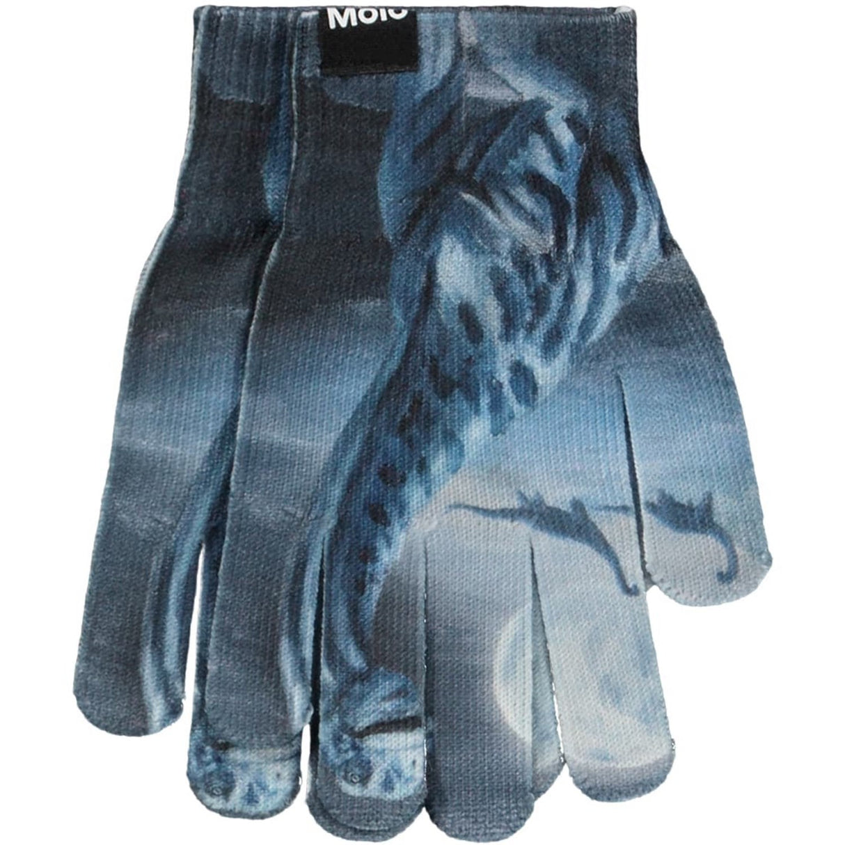 Molo Arty Dinos Kaya Outerwear Sett