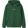 Name It Verdant Green W. Jet Stream Print Nkmbrody Ls Nreg Sweat Wh Bru Noos