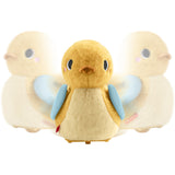 Fisher-Price® Flap & Follow Duck