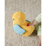 Fisher-Price® Flap & Follow Duck