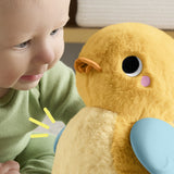 Fisher-Price® Flap & Follow Duck