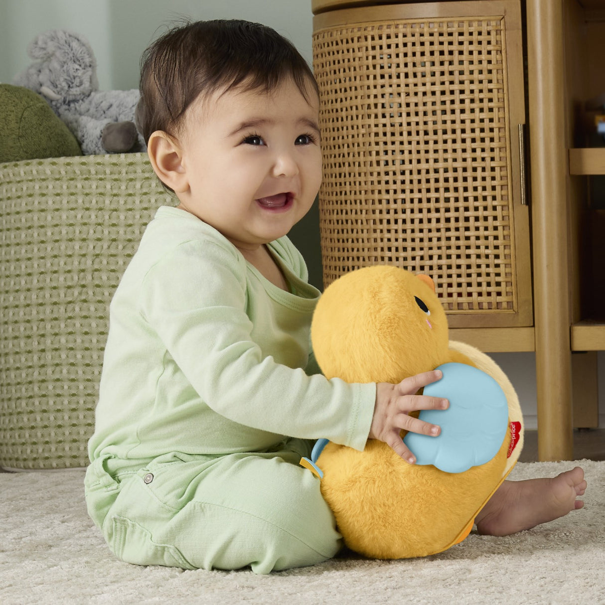 Fisher-Price® Flap & Follow Duck