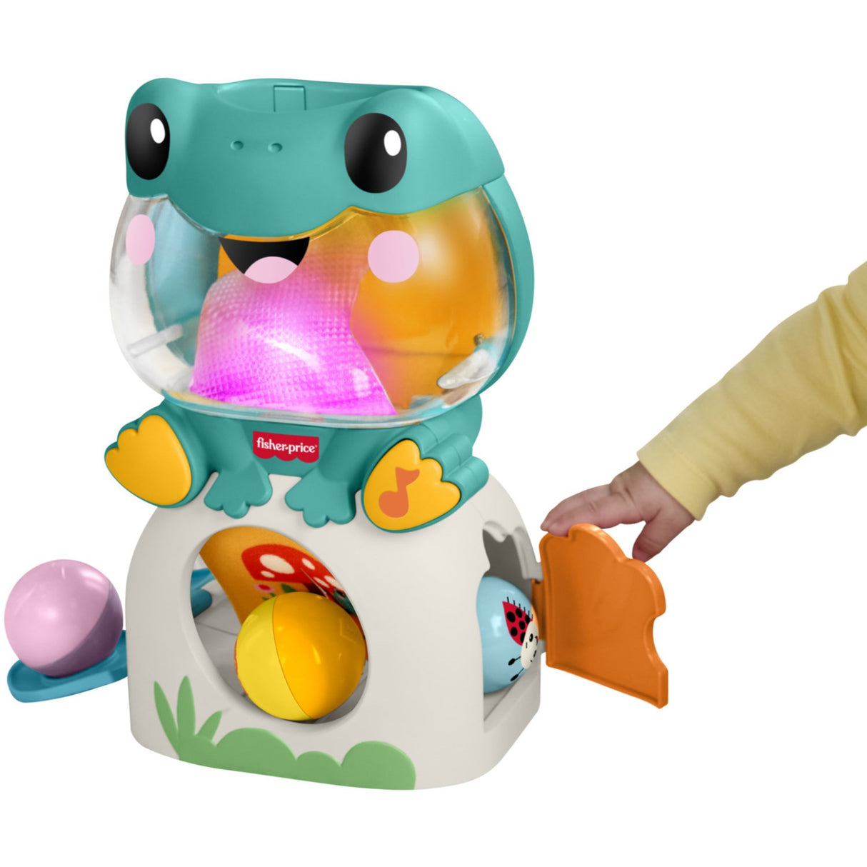 Fisher-Price® Seek & Find Frø
