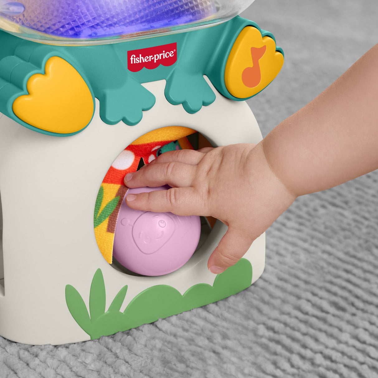 Fisher-Price® Seek & Find Frø