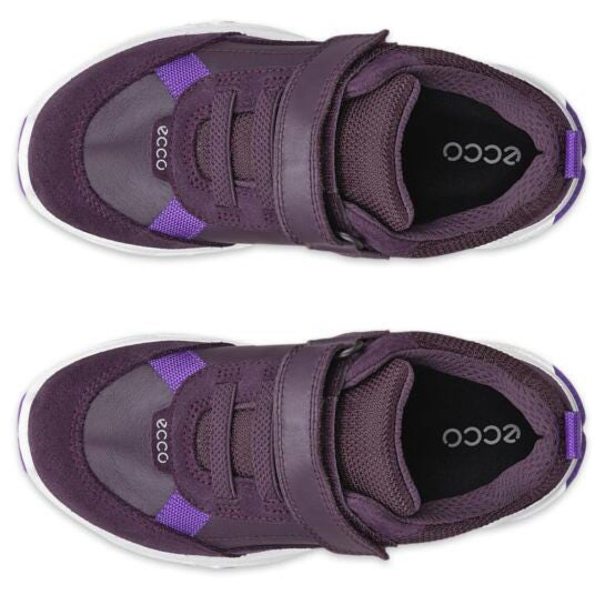 Ecco Mauve Receptor Xp K Lær