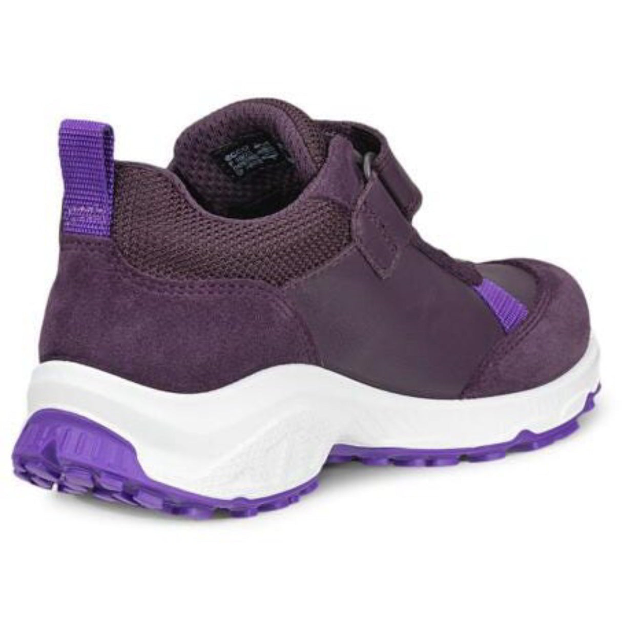 Ecco Mauve Receptor Xp K Lær