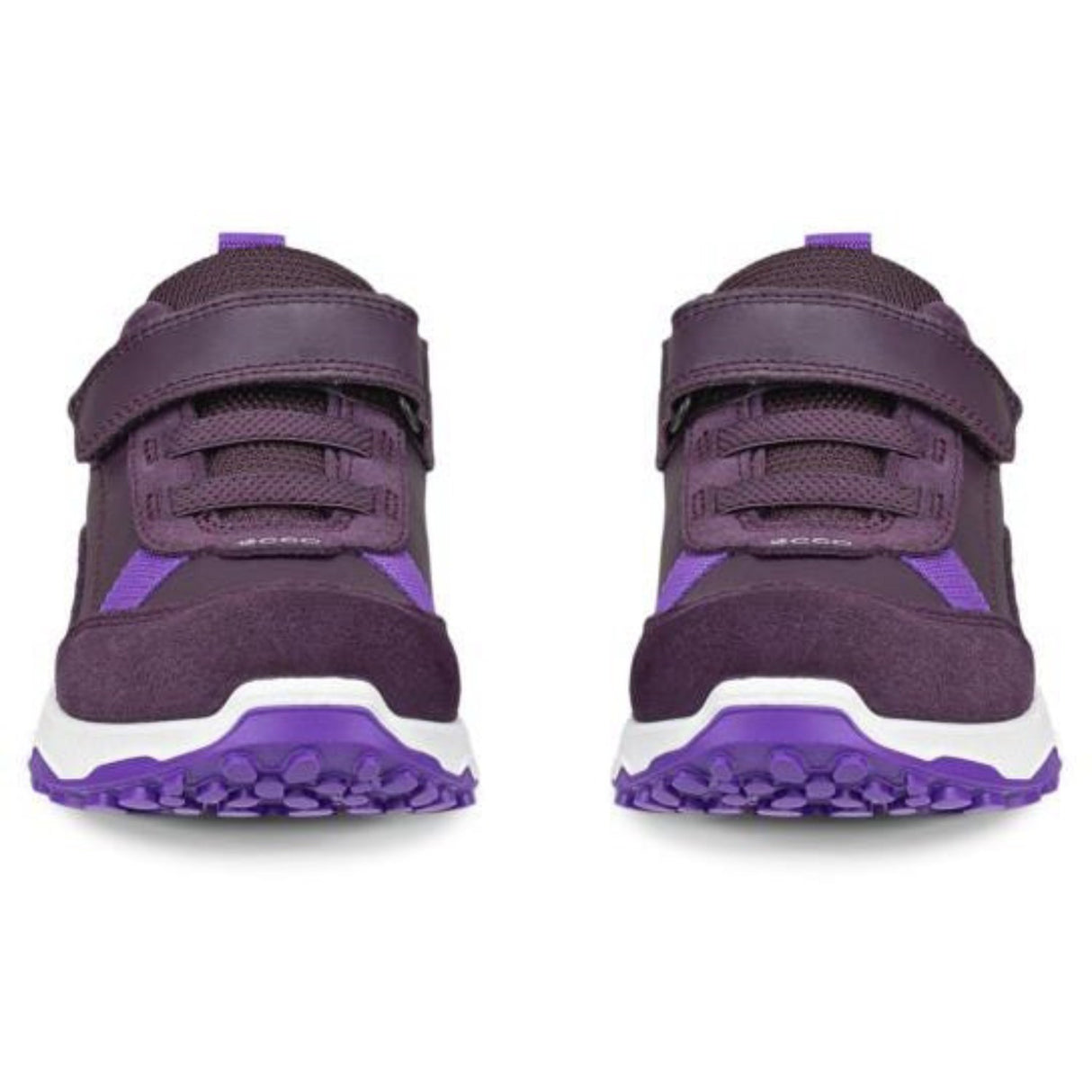 Ecco Mauve Receptor Xp K Lær